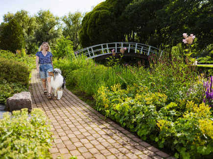 On the photo woman and dog in the park