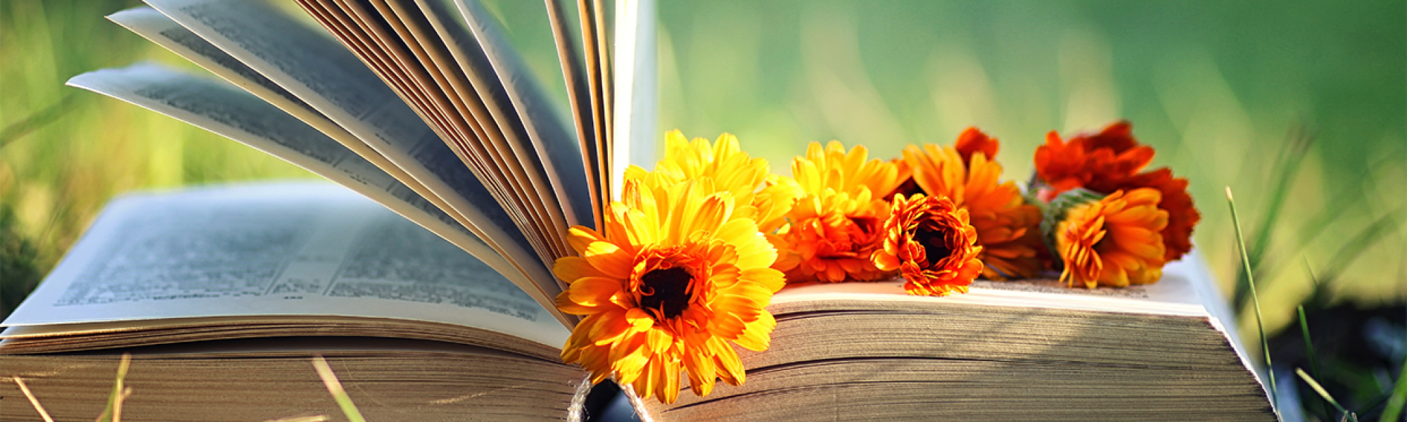 Kuvassa kirja auki ruohikolla, oranssit kukat pitävät jakausta ja osa sivuista on noussut ylös.