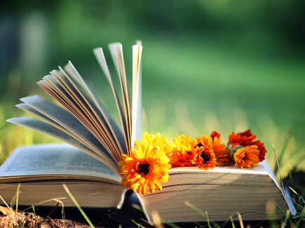 Kuvassa kirja auki ruohikolla, oranssit kukat pitävät jakausta ja osa sivuista on noussut ylös.